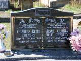 image of grave number 745129